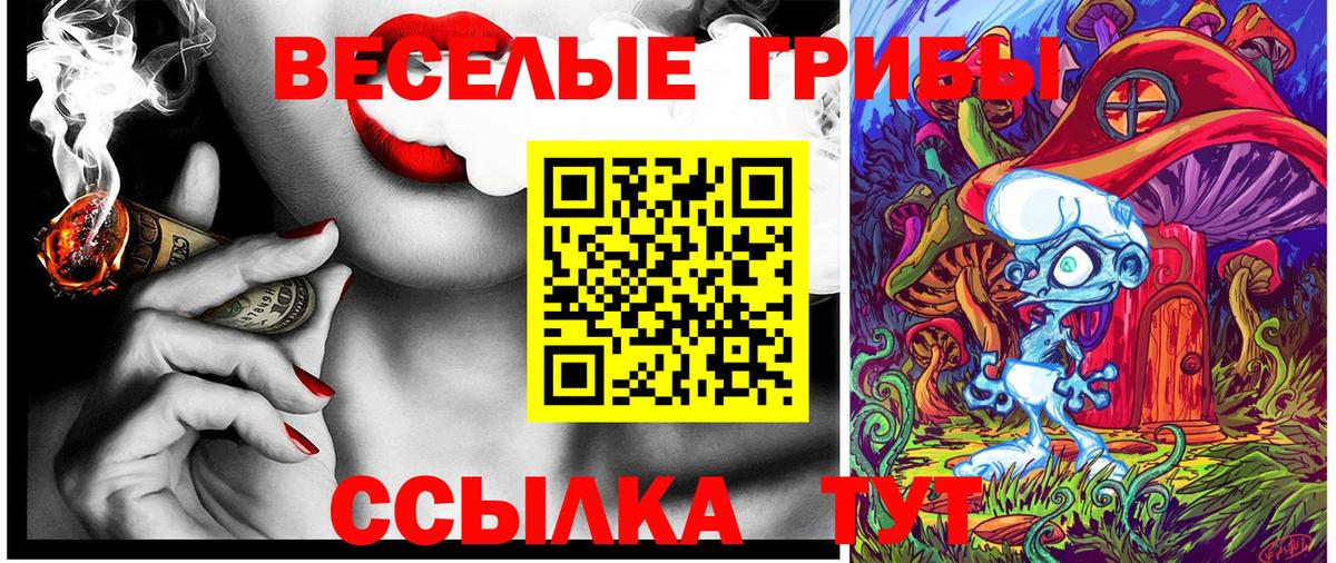 Псилоцибиновые грибы Psilocybe Аргун
