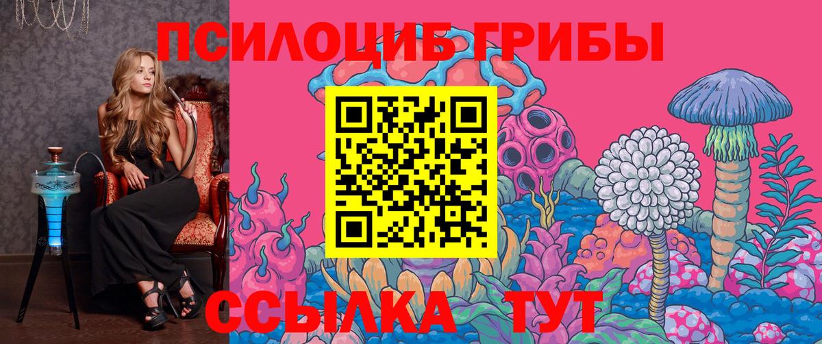Аргун  Галлюциногенные грибы мухоморы  Вход с VPN  Псилоцибиновые грибы Psilocybe 